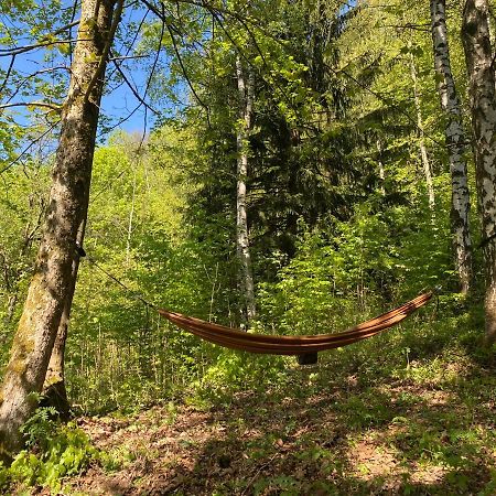 Villa Roubenka Ella Desná Esterno foto